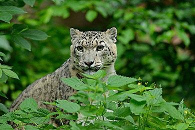 3DM速报：《战地2042》128人突破删除 FF7下月公布25周年更多信息