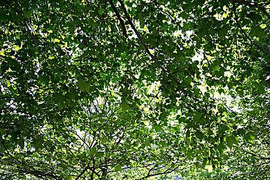 通关《黑神话：悟空》第三章 可终生免费游济南灵岩寺